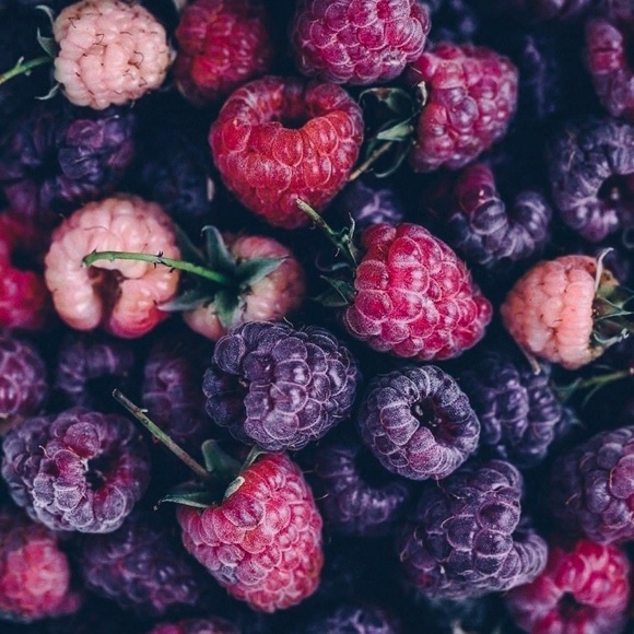 Meet your Posher, Talia - Picture 1 of 1